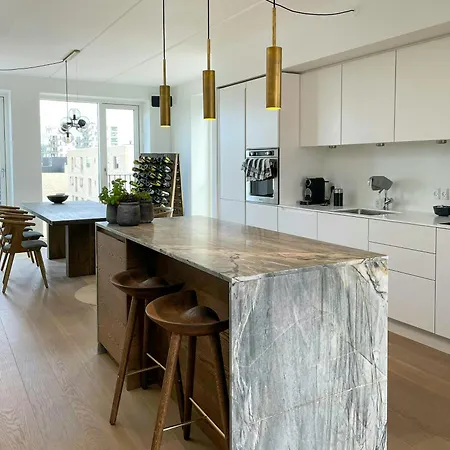 Penthouse With Rooftop Terrace Near Havnevigen
