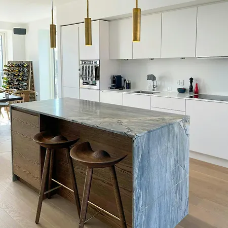 Penthouse With Rooftop Terrace Near Havnevigen * København