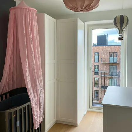 Penthouse With Rooftop Terrace Near Havnevigen København